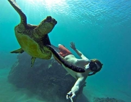 Отличие водонепроницаемых боксов HERO4 Отличие водонепроницаемых боксов HERO4