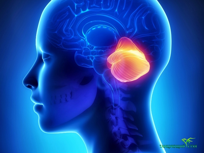 Учёные доказали: Тренировки равновесия и баланса улучшают работу памяти и когнитивные способности человека Учёные доказали: Тренировки равновесия и баланса улучшают работу памяти и когнитивные способности человека