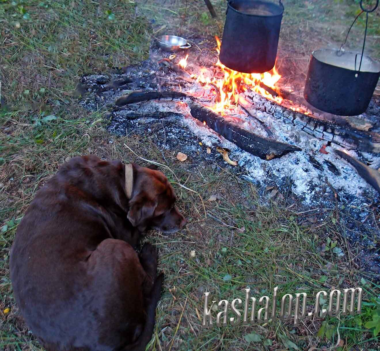 Еда в походе - как уберечь еду от непрошенных гостей