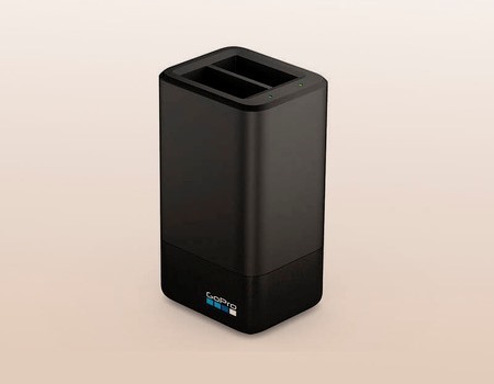 Зарядное устройство GoPro MAX Dual Battery Charger + Battery Зарядное устройство GoPro MAX Dual Battery Charger + Battery