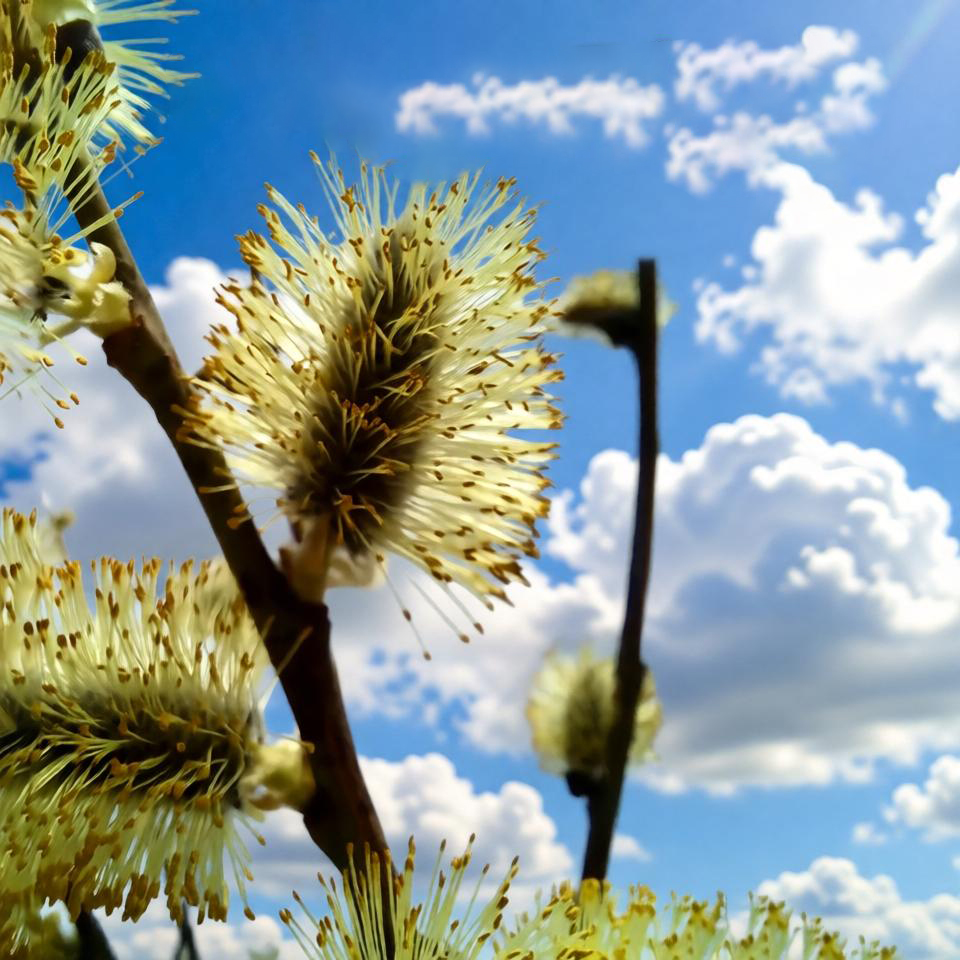 Гастрономическое путешествие. Пасхальные угощения в разных уголках мира
