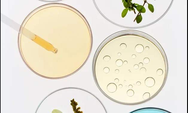 Indibiome Cosmetics под микроскопом