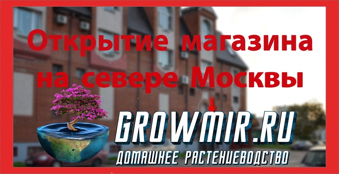 Открытие магазина на севере Москвы!