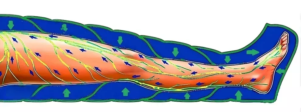 Лимфодренаж | Что это такое, польза лимфатического массажа тела