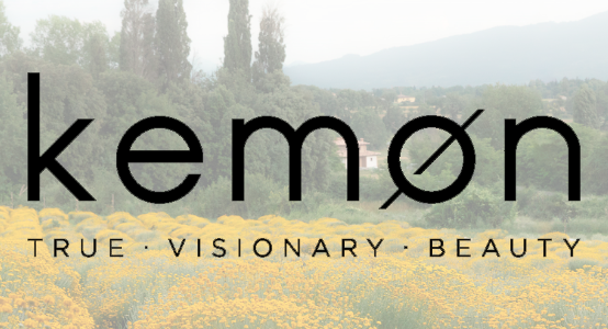 5 фактов о KEMON, которые вам нужно знать