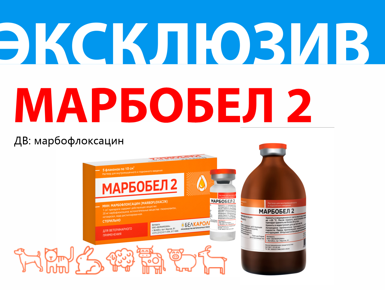 Марбобел. Марбобел 2. Марбобел таблетки. Марбобел ветеринарный. Марбобел 2 10мл*1фл.