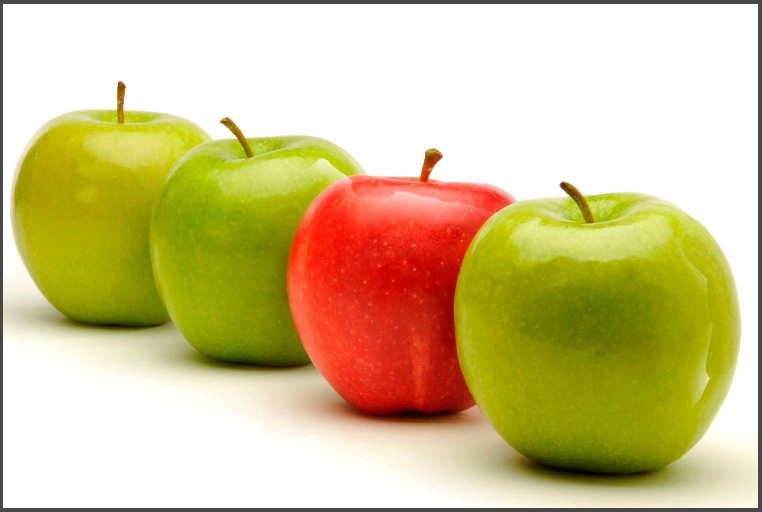 Чем мы отличаемся от других Чем мы отличаемся от других