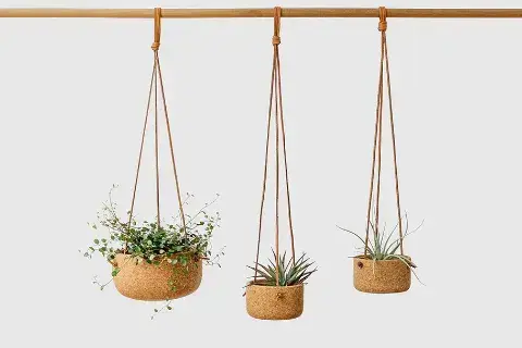 7 ошибок при выращивании цветов в подвесных кашпо и как их избежать