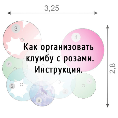 Как организовать клумбу с розами. Инструкция