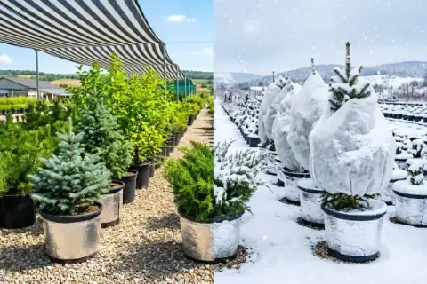 Инженерный подход к зимовке ЗКС: стресс-менеджмент контейнерных площадок