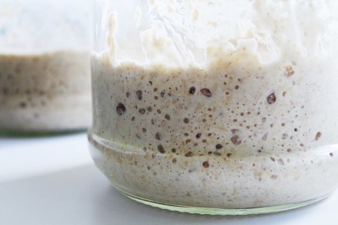 Марафон по выведению закваски, записи!