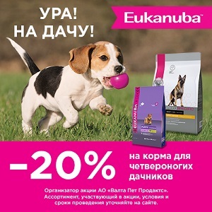 На дачу с Eukanuba / ЗАВЕРШЕНА