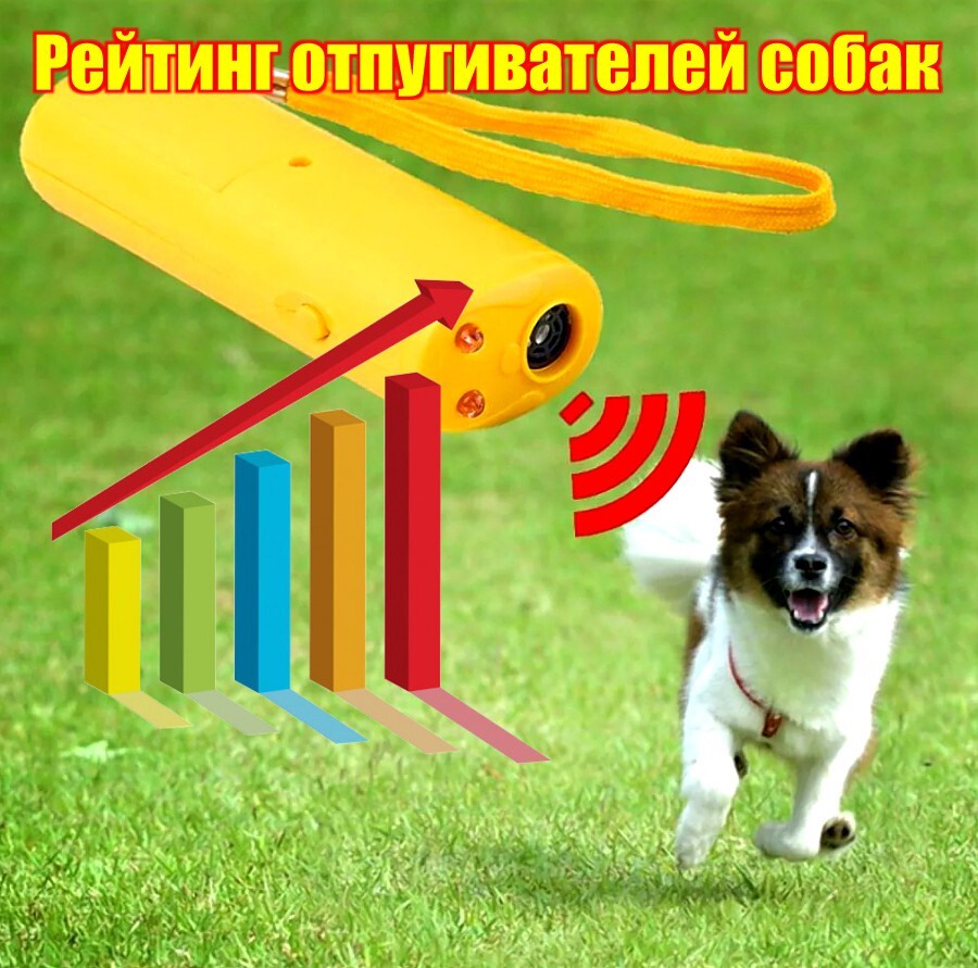 ≡ Отпугиватель собак – купить защиту от собак | Paralizator