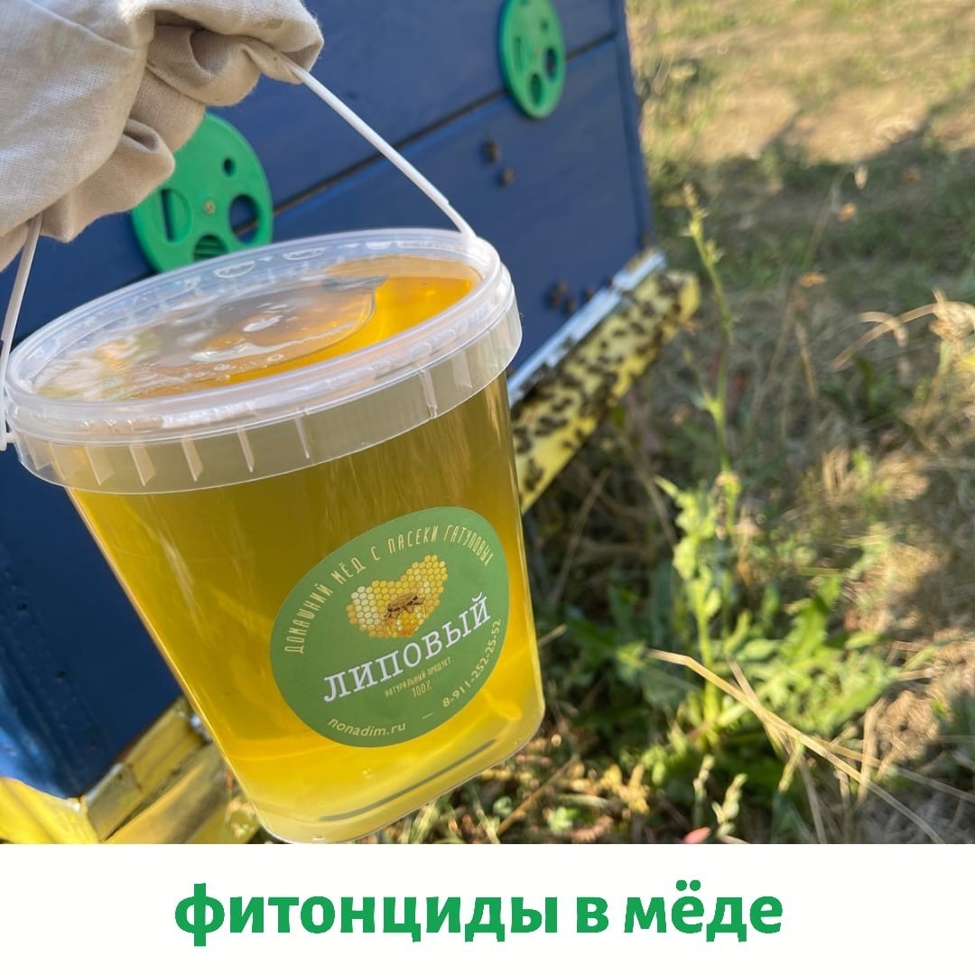 ФИТОНЦИДЫ В МЁДЕ