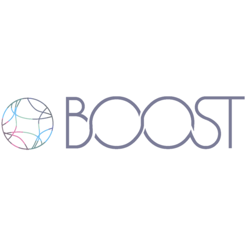 Тонер Boost - разумная экономия