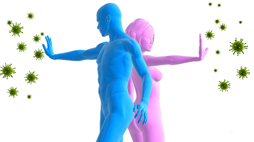 Простые способы укрепления иммунитета Простые способы укрепления иммунитета