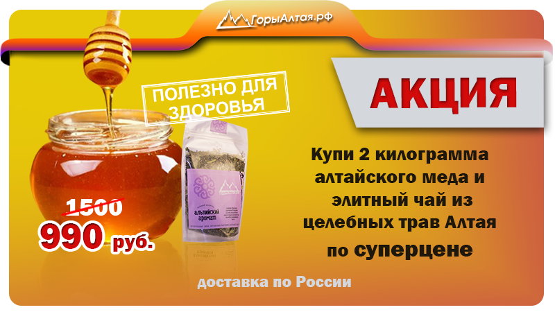 Алтайский Цена Купить