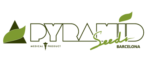 Pyramid seeds в Казахстане.