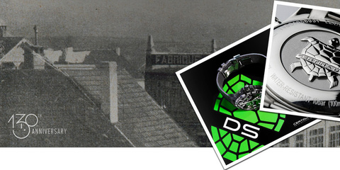 Под знаком черепахи