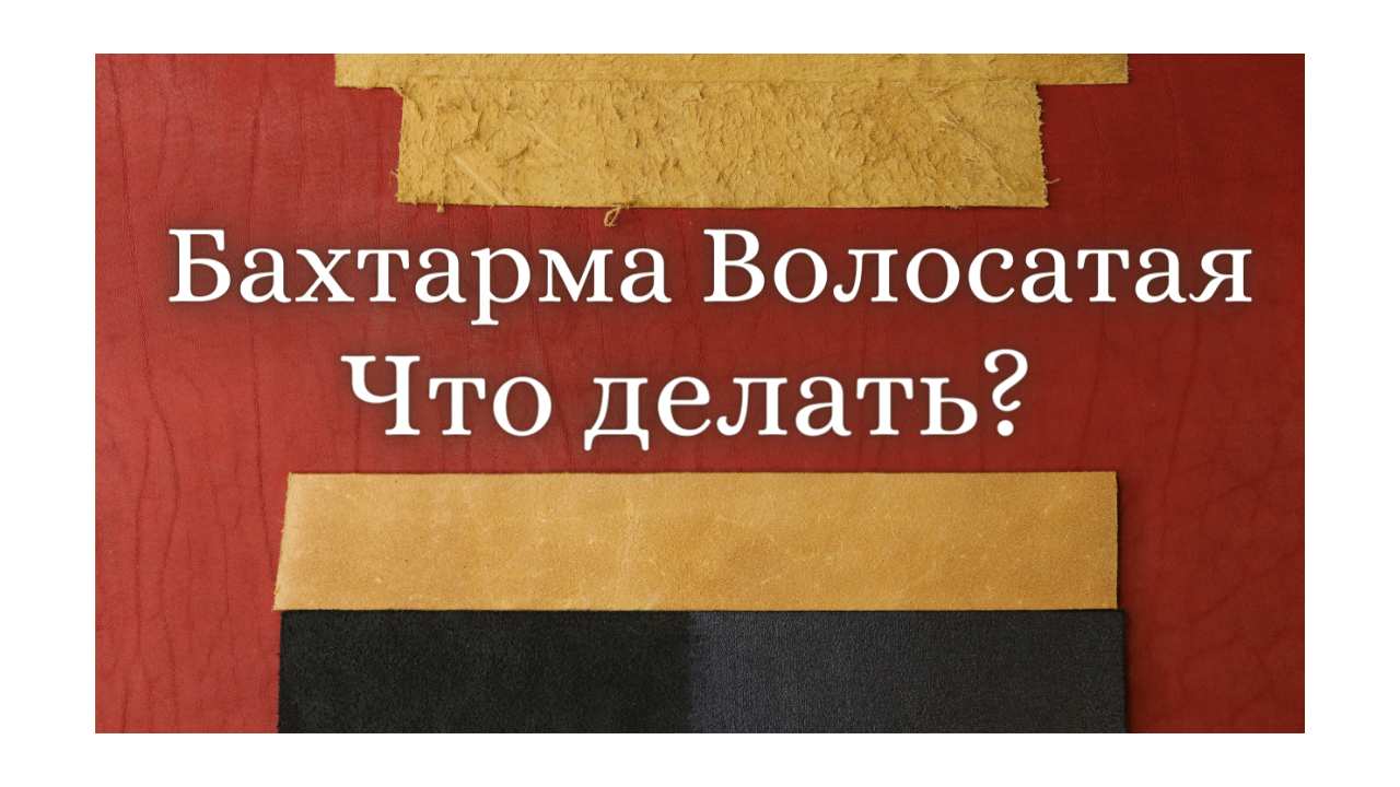 Что делать Если Бахтарма Волосатая? | M.Leather