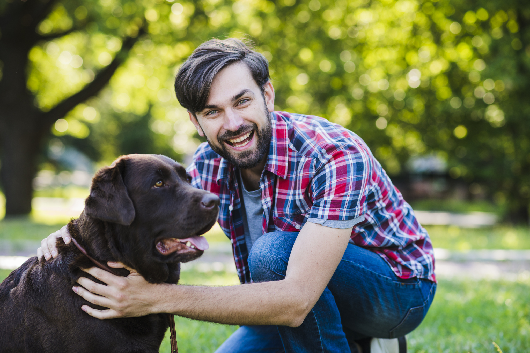 Dog man. Человек кормит собаку. Man with Dog. Businessman with Dog. Happy guy Happy Dog Song.