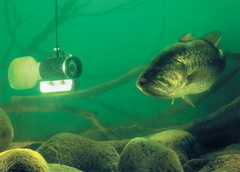 Как сделать недорогую подводную камеру с подсветкой (для рыбалки)