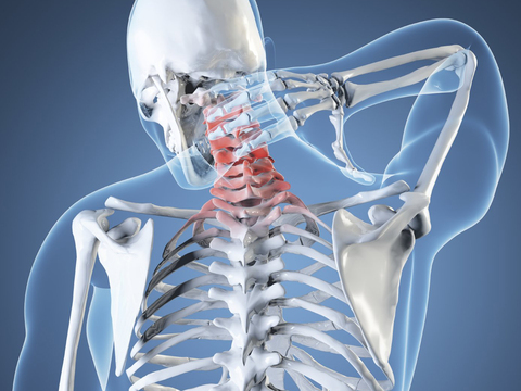 Шейный отдел позвоночника