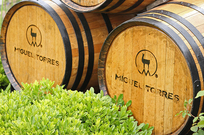 Miguel Torres Chile