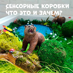 СЕНСОРНЫЕ КОРОБКИ, ЧТО ЭТО И ЗАЧЕМ ОНИ НУЖНЫ?