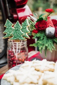 Classic Christmas Tailgate Party
