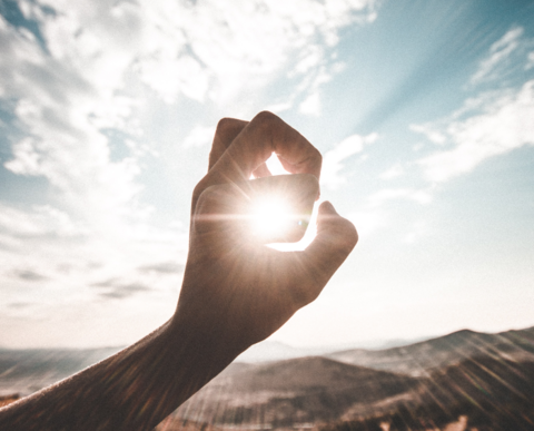 Витамин Д из солнечного света. В чем секрет