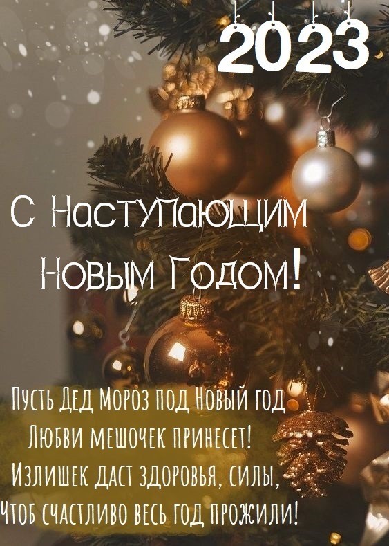 С НОВЫМ ГОДОМ ДРУЗЬЯ!