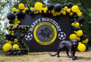 Panthers Party
