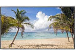 NEC выпускает 75-дюймовый дисплей, предназначенный для отображения людей и предметов в натуральную величину