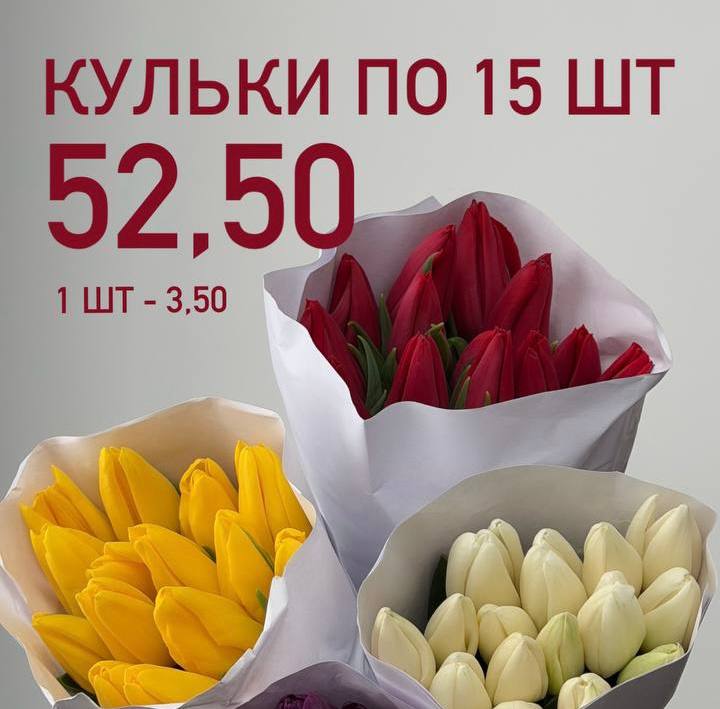 Кульки тюльпанов по 15 шт