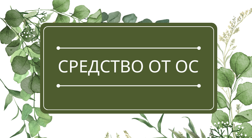 Средство от ос: помощь эфирных масел