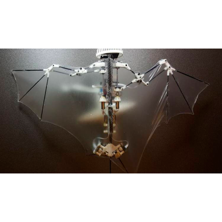 Робот-летучая мышь – соперник Бетмена