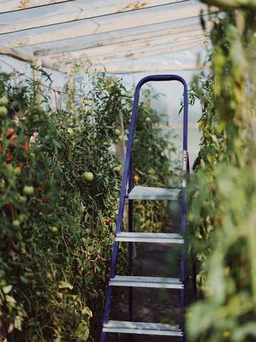 FROM SOIL TO TABLE: The Organic Farming Philosophy of Kolkhoz Nomer 1