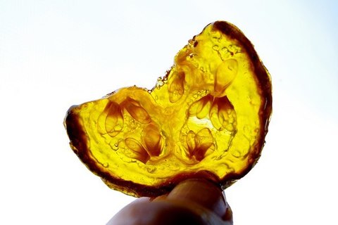 Имбирные цукаты из кабачков + видео