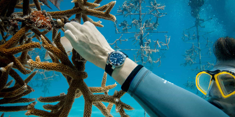 Хранители морей