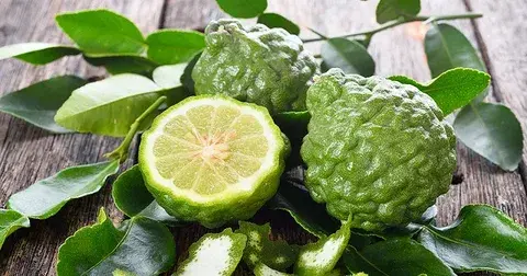 Эфирное масло комбавы: как его правильно использовать?