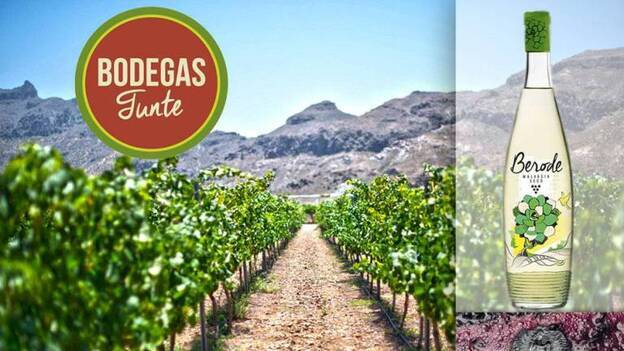 Bodegas Tunte