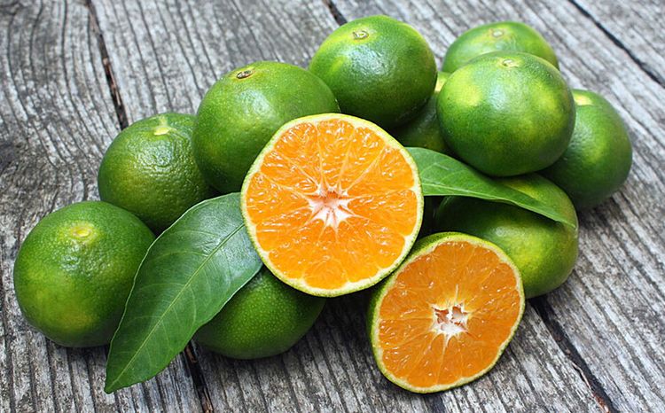 Эфирное масло зеленого мандарина: как его правильно использовать?