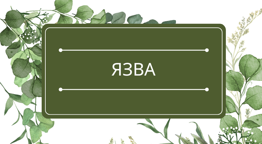 Язва: помощь эфирных масел