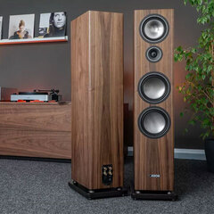 Новая напольная акустика Townus 100