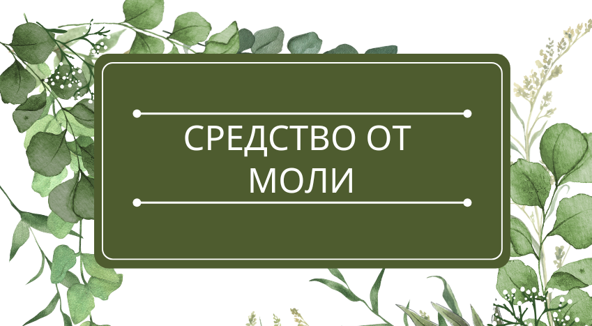 Средство от моли: помощь эфирных масел