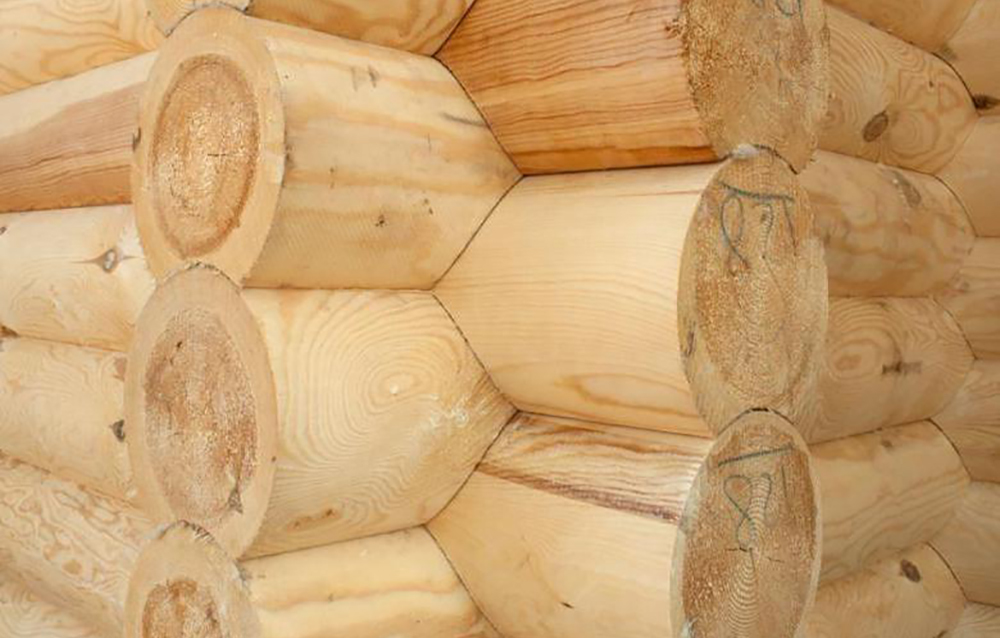 Биозащита древесины при строительстве дома из ОЦБ и профилированного бруса естественной влажности