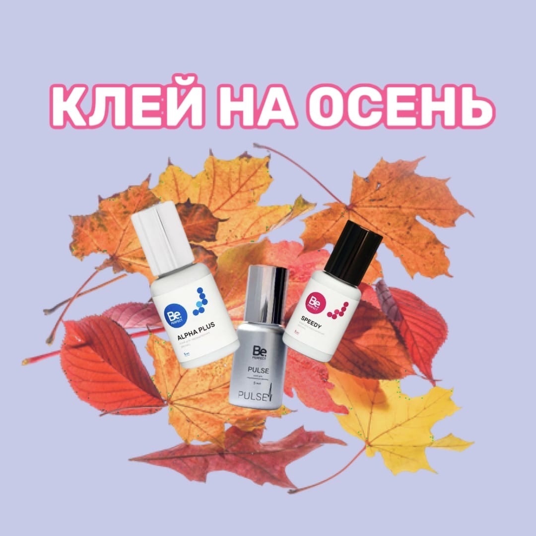 КЛЕЙ НА ОСЕНЬ🍂