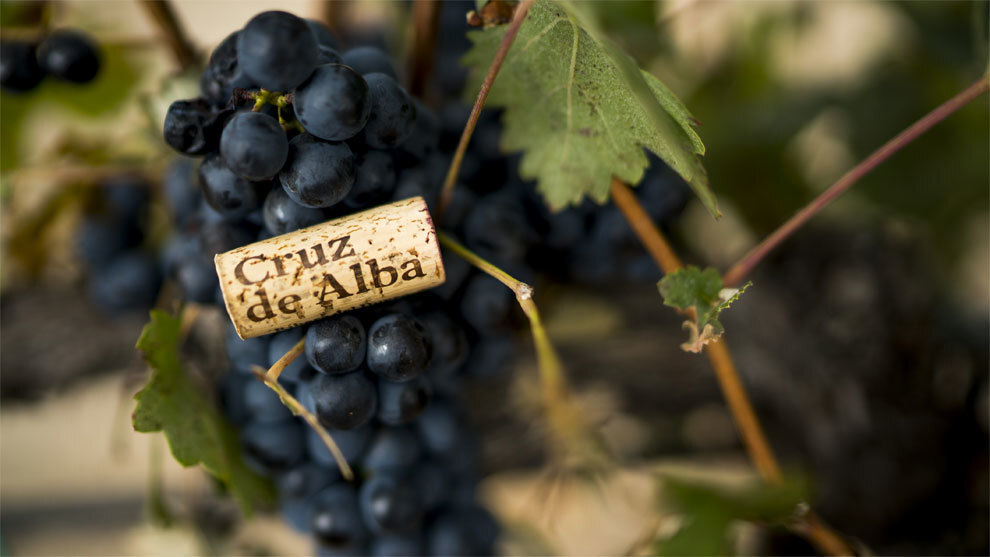 Bodegas Cruz de Alba