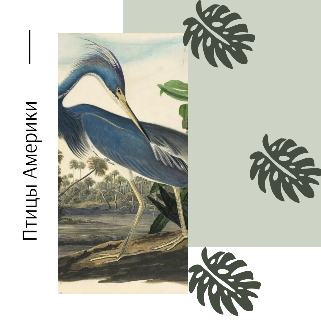 Самые дорогие книги